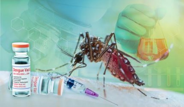Atenção com a dengue, vacina QDENGA já autorizada pela ANVISA